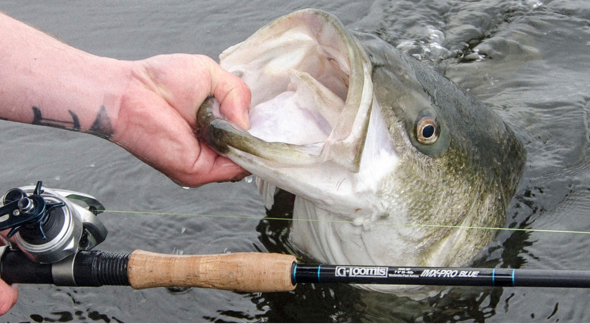 Striper Fishing Lures, Freshwater Striper Lures
