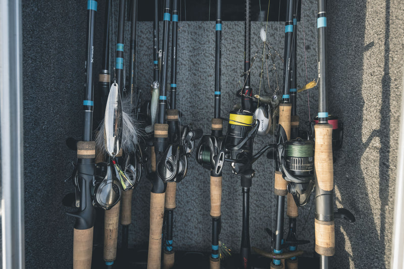 Which Rod to Bring to Your Fishing Trip