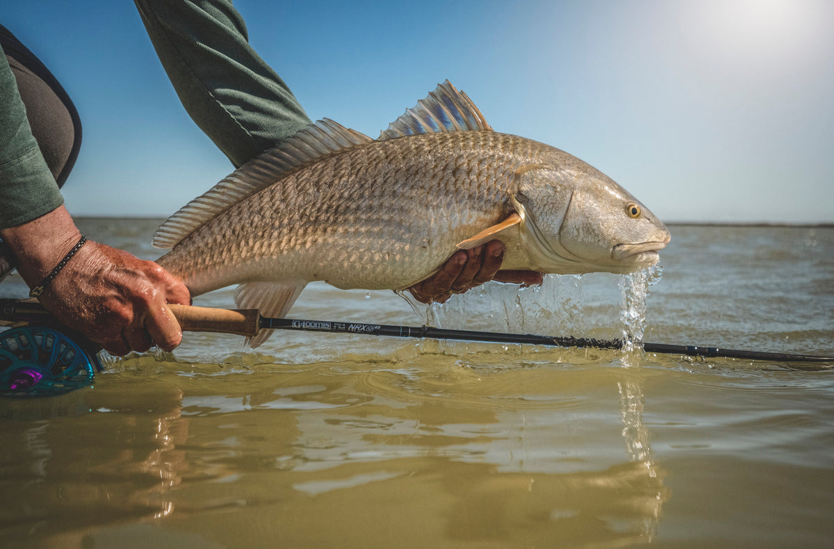 G Loomis NRX+ FLY SALTWATER detail image 3